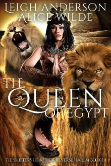 The Queen of Egypt Read online