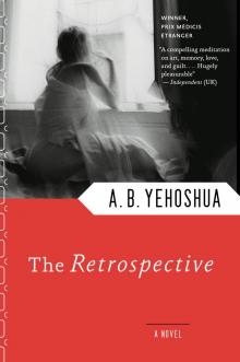The Retrospective Read online