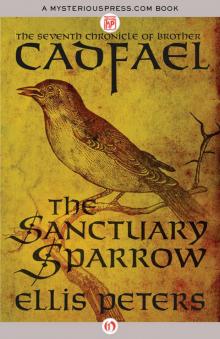 The Sanctuary Sparrow Read online