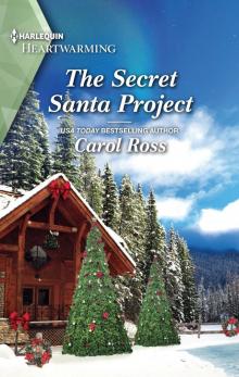 The Secret Santa Project Read online