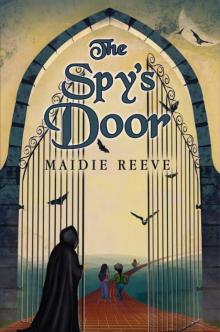 The Spy's Door