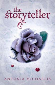 The Storyteller Read online