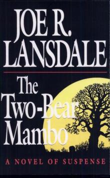 The Two-Bear Mambo Read online