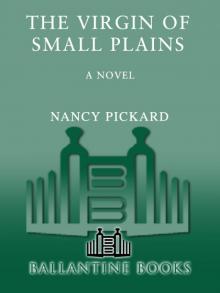 The Virgin of Small Plains Read online