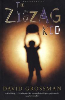 The Zigzag Kid Read online