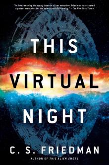 This Virtual Night Read online