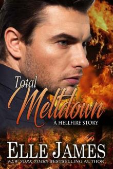 Total Meltdown (Hellfire Series Book 7) Read online