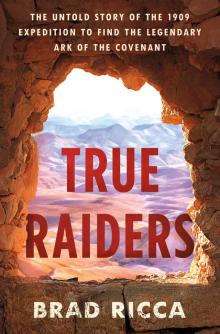 True Raiders Read online