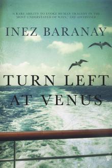 Turn Left at Venus Read online