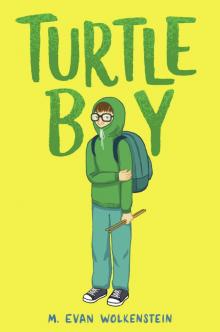Turtle Boy Read online