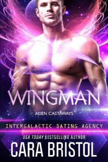 Wingman: Alien Castaways (Intergalactic Dating Agency) Read online