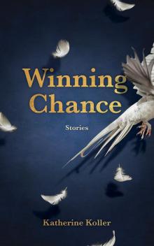 Winning Chance Read online