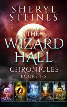 Wizard Hall Chronicles Box Set Read online