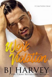 Work Violation (Cook County Book 2)