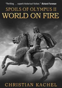 World on Fire Read online