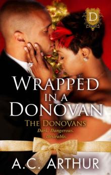 Wrapped in a Donovan Read online
