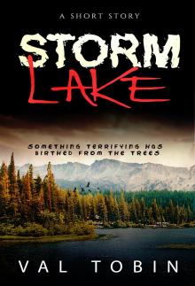 Storm Lake Read online