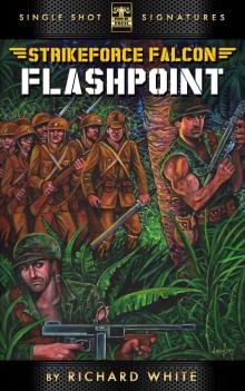 Tales of Strikeforce Falcon, Book 1: Flashpoint Read online