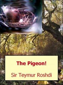 The Pigeon! Read online