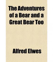 Adventures of a Bear, and a Great Bear Too Read online