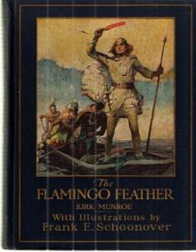 The Flamingo Feather Read online