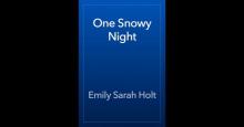 One Snowy Night Read online
