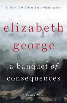 A Banquet of Consequences Read online