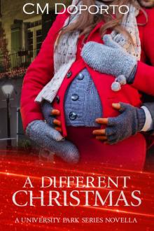 A Different Christmas: Novella (University Park Series) Read online