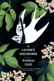 A Lover's Discourse Read online