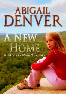 A New Home (Chasing Destiny) Read online