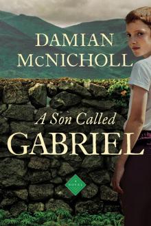 A Son Called Gabriel Read online