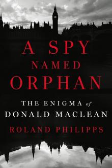 A Spy Named Orphan Read online
