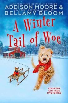 A Winter Tail of Woe Read online