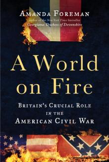 A World on Fire: Britain's Crucial Role in the American Civil War Read online