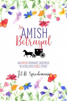 An Amish Betrayal Read online