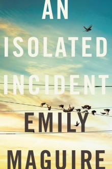 An Isolated Incident Read online