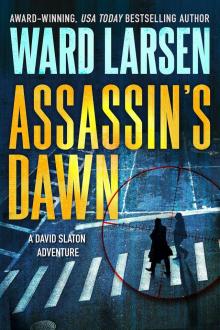 Assassin's Dawn: A David Slaton Adventure Read online