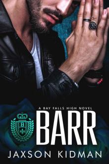 BARR: a bay falls high novel Read online