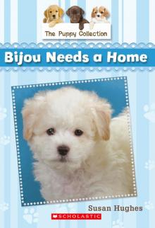 Bijou Needs a Home Read online