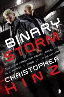 Binary Storm Read online