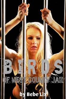 Birds Of West County Jail: Interracial Group Lesbian Erotica