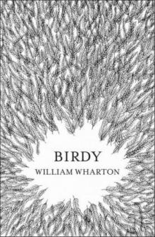 Birdy Read online