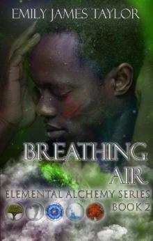 Breathing Air Read online