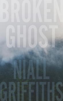 Broken Ghost Read online
