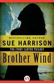 Brother Wind Read online