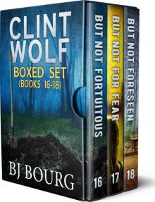 Clint Wolf Boxed Set: Books 16 - 18 Read online