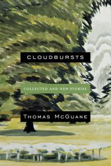 Cloudbursts Read online