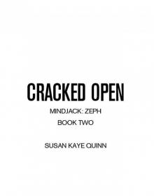 Cracked Open Read online