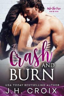 Crash & Burn (Into The Fire Series Book 10) Read online