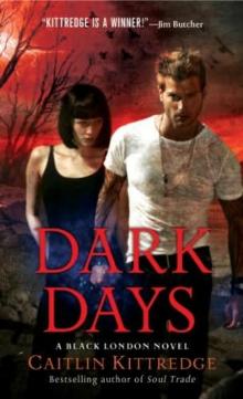 Dark Days bl-6 Read online